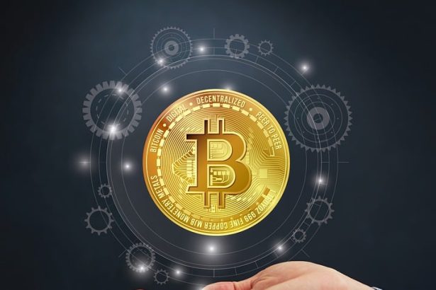 Bitcoin Wallet Security 101: Protecting Your Investment in a Digital Age